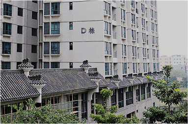 关于玛奇诺